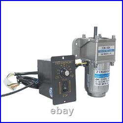 110V/220V AC Electric Motor Variable Speed Controller with Reduction Gearbox