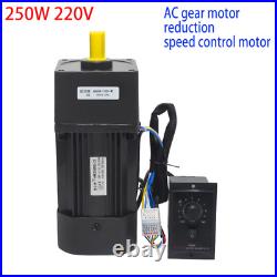 220V 250W Adjustable Speed AC Gear Motor Reversible Motor withController