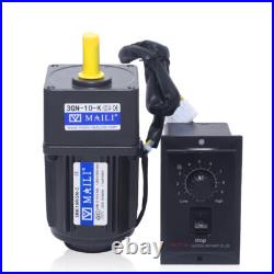 220V AC Gear Motor Electric Motor Variable Speed Controller Reduction Ratio 110