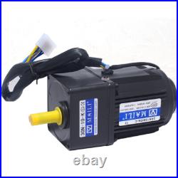 220V AC Gear Motor Electric Motor Variable Speed Controller Reduction Ratio 110