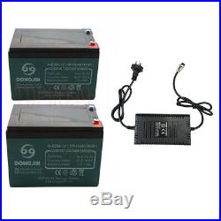 24V 500W Electric Motor Speed Controller Batteries Charger Keylock Throttle Grip