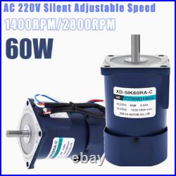 60W AC 220V Silent Adjustable Speed Motors 1400/2800RPM CWithCCW With Controller