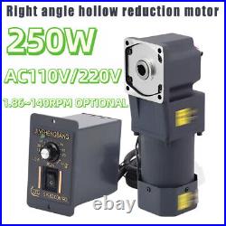 RightAngle Electric Variable Speed Controller 250W Hollow Output Reduction Motor