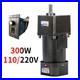 Speed Variable 300W Electric AC 220/110V Motor Adapter Gear Box Motor Controller