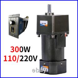 Speed Variable 300W Electric AC 220/110V Motor Adapter Gear Box Motor Controller